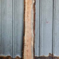 H Ambacht houten meetlat groeimeter liefslabel origineel cadeau kraamcadeau kind babyshower verjaardag baby geboorte sinterklaas kerst moederdag vaderdag persoonlijk leuk luxe kado cadeau