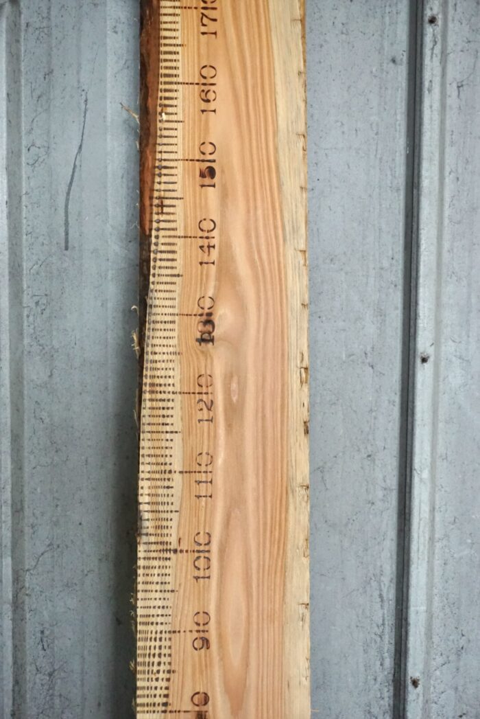 B Ambacht houten meetlat groeimeter liefslabel origineel cadeau kraamcadeau kind babyshower verjaardag baby geboorte sinterklaas kerst moederdag vaderdag persoonlijk leuk luxe kado cadeau