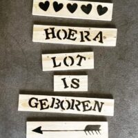 houten bewegwijzering in de tuin baby geboorte liefslabel