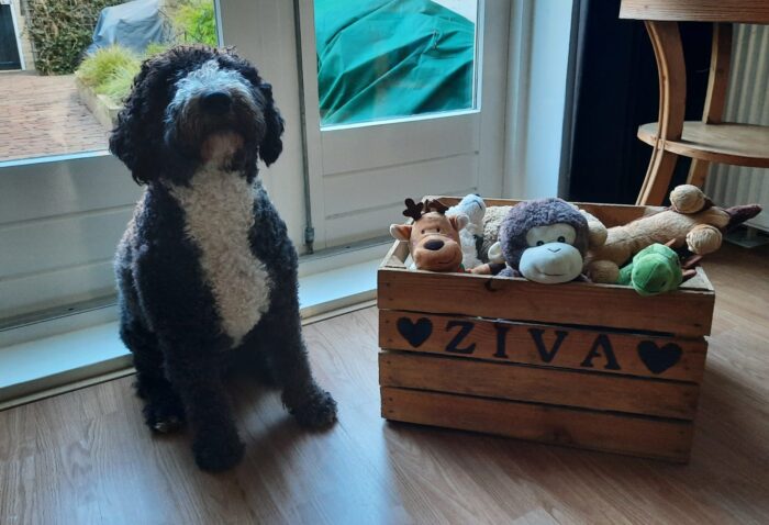 houten kist voor hondenspeeltjes liefslabel