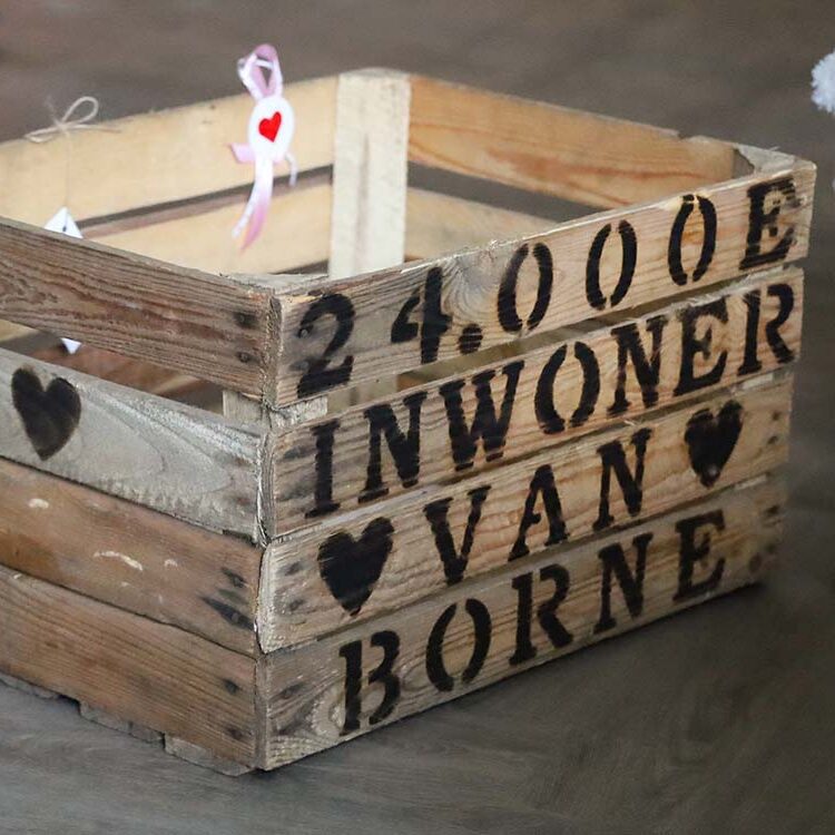 houten kist kraamcadeau 24.000e inwoner van Borne liefslabel