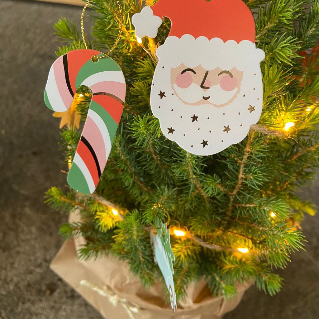 klein kerstboom sturen kerstboompje origineel kerstpakket liefslabel