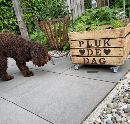 houten kist branden hout bloementuintje opruimen opruimtips liefslabel