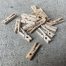 houten knijpers mini knijpertjes liefslabel klein 3 cm x 0.4 cm