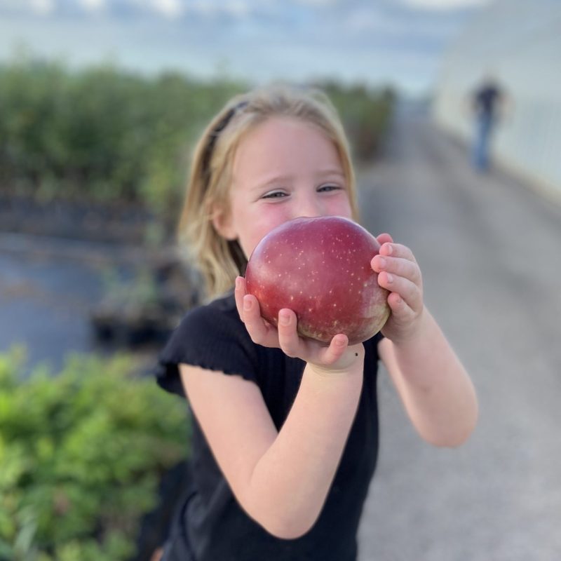 Anouk met de appel Appelboomtuintje liefslabel