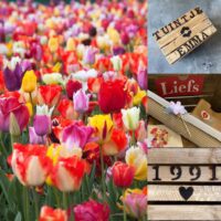 tulpentuintje liefs liefslabel tulpen cadeau origineel persoonlijk bloemen verjaardag oma mama