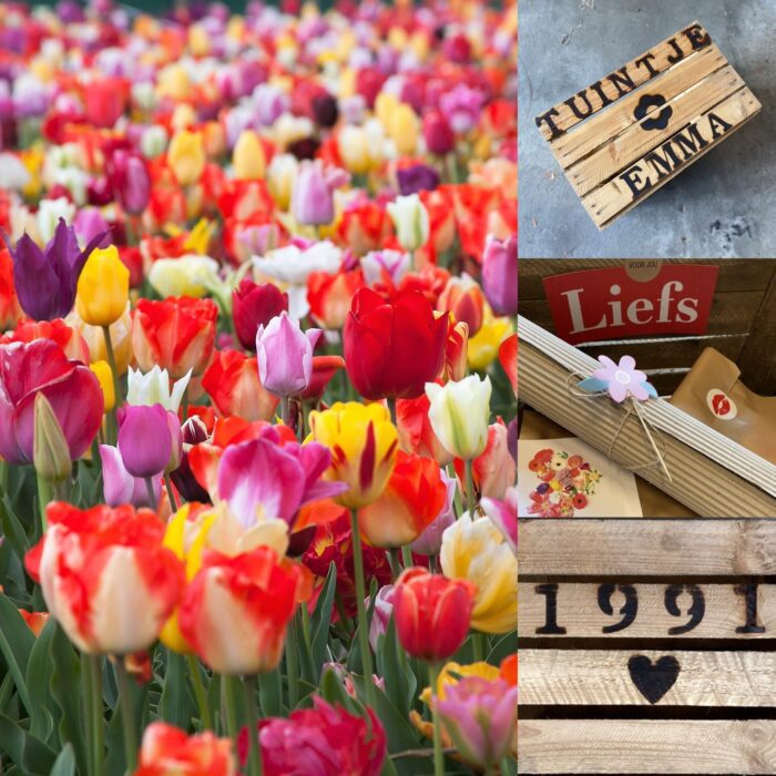 tulpentuintje liefs liefslabel tulpen cadeau origineel persoonlijk bloemen verjaardag oma mama