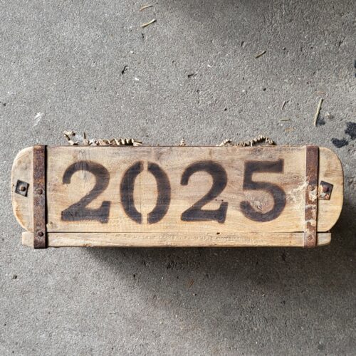 Steenmal 2025