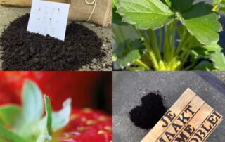 aardbeien aardbeientuintje liefslabel houten kist cadeau cadeaupakket bruiloft verjaardag hoera