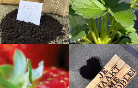 aardbeien aardbeientuintje liefslabel houten kist cadeau cadeaupakket bruiloft verjaardag hoera