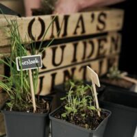 cadeau moederdag oma origineel persoonlijk duurzaam leuk cadeautip kadotip cadeau liefs liefslabel liefsvanroos liefs van roos kruidentuintje
