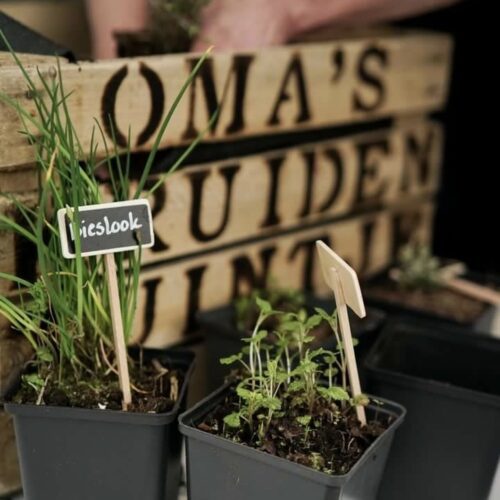 cadeau moederdag oma origineel persoonlijk duurzaam leuk cadeautip kadotip cadeau liefs liefslabel liefsvanroos liefs van roos kruidentuintje