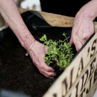 cadeau moederdag oma origineel persoonlijk duurzaam leuk cadeautip kadotip cadeau liefs liefslabel liefsvanroos liefs van roos kruidentuintje