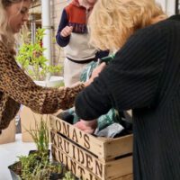 cadeau moederdag oma origineel persoonlijk duurzaam leuk cadeautip kadotip cadeau liefs liefslabel liefsvanroos liefs van roos kruidentuintje