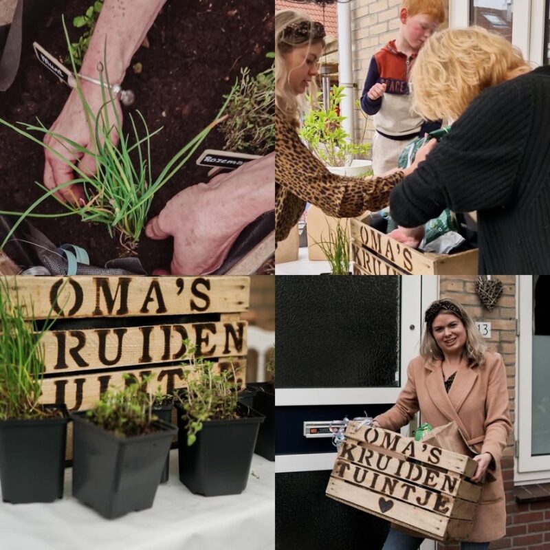 cadeau moederdag oma origineel persoonlijk duurzaam leuk cadeautip kadotip cadeau liefs liefslabel liefsvanroos liefs van roos kruidentuintje