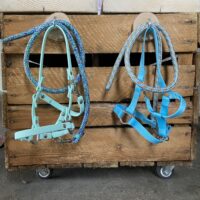 hobby horse stal hobbyhorse maaike houten kist deksel liefslabel