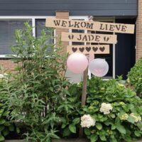 bewegwijzering baby wegwijzer aankondiging tuin liefslabel