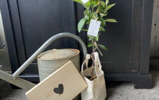 liefdesboom appelboom perenboom boom cadeau stamboom origineel persoonlijk cadeau bruiloft juf meester trouwdag pensioen bedankje liefslabel