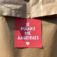 cadeau juf juffenbedankje cadeautip juf meester school inspiratie kleidingheidje liefslabel aardblei plantje aardbeienplantje liefslabel