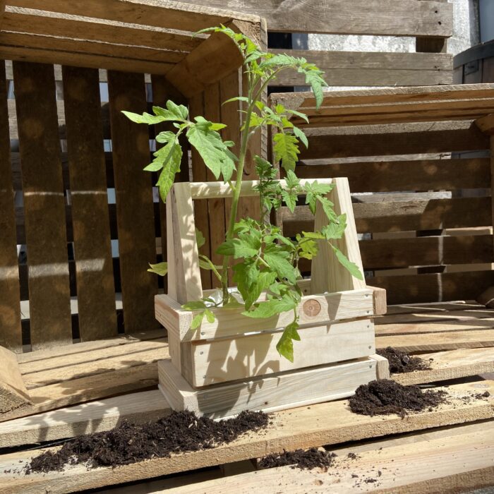 tomatenrek cadeau origineel persoonlijk groen duurzaam tomaten kweken verjaardag trouwdag moederdag bruiloft trouwdag liefs liefslabel