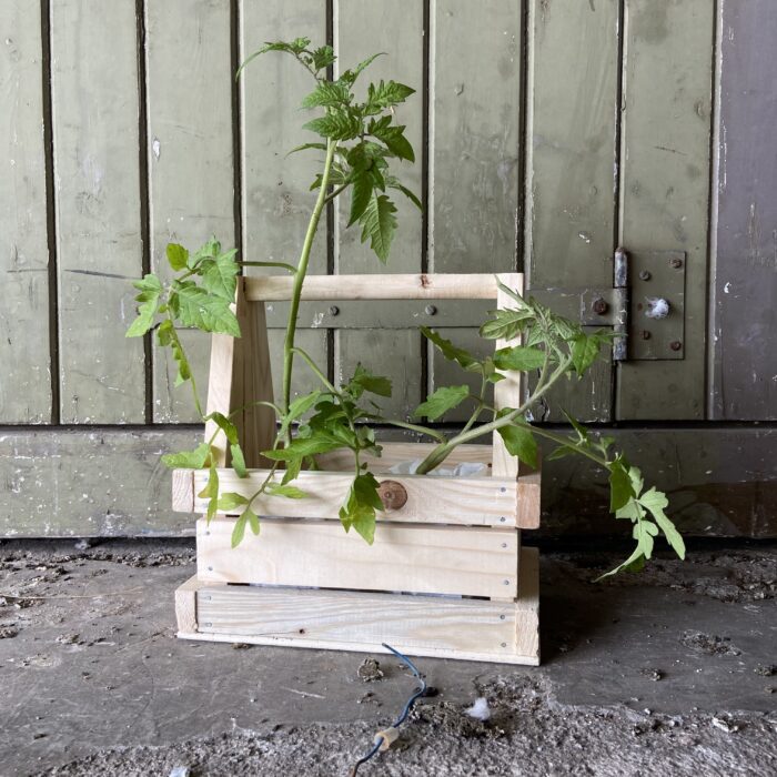 tomatenrek cadeau origineel persoonlijk groen duurzaam tomaten kweken verjaardag trouwdag moederdag bruiloft trouwdag liefs liefslabel