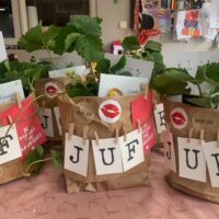bedankje juf origineel persoonlijk juffencadeau cadeau meester juf liefslabel aardbei plantje aardblei