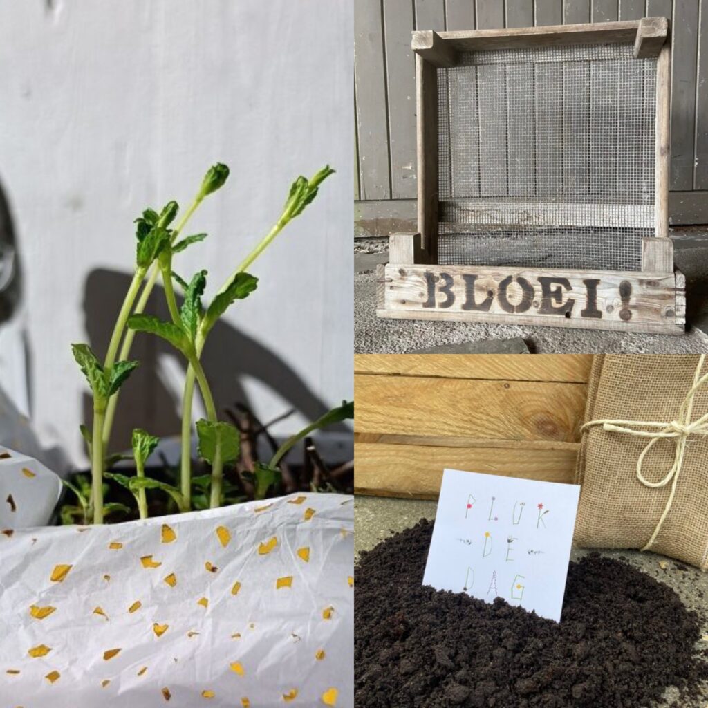 bloembak bloemenbak gaasbak bloemen lente origineel cadeau verjaardag moederdag vaderdag liefslabel bloembak glasbak goedkope gaasbak gaasbakken