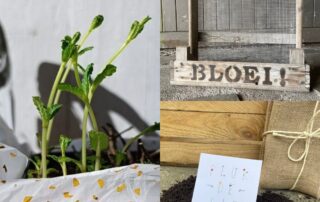 bloembak bloeibak duurzaam groen bloemenbak gaasbak bloemen lente origineel cadeau verjaardag moederdag vaderdag liefslabel bloembak glasbak goedkope gaasbak gaasbakken verjaardag pensioen juf meester groep 8