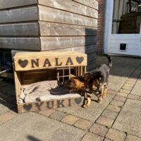kattenkrat kattenmand poezenmand kattenbak poezenbak houten bak dieren opbergkist speelgoedkist kat poes kater dier fijn plekje origineel persoonlijk liefs liefslabel cadeau dieren dierendag leuk grappig