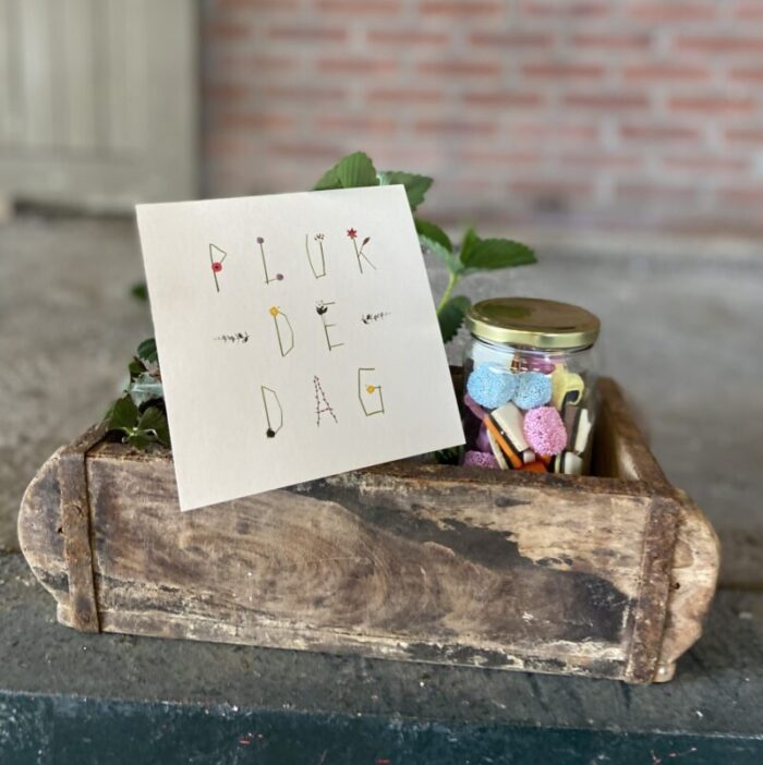 aardblei plantje liefs liefslabel aardbei plantje cadeau bedankje liefs juf meester pluk de dag