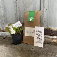 comfort zorg pepermunt je bent uitmuntend munt plantje marokkaanse cadeau groen duurzaam bedankje juf meester juf fleur zorgkwekerij paperbag dag van de zorg kleinigheidje cadeau relatiegeschenk liefs liefslabel persoonlijk met naam