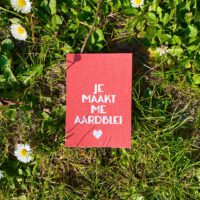 aardblei plantje aardbei liefslabel label aardblei lief cadeau kaartje
