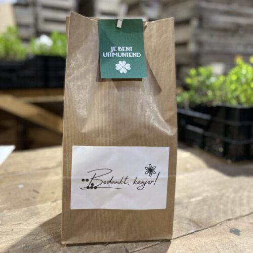 je bent uitmuntend label kaartje liefs liefslabel bedankje kleinigheidje juf meester school cadeau origineel persoonlijk cadeaupakket