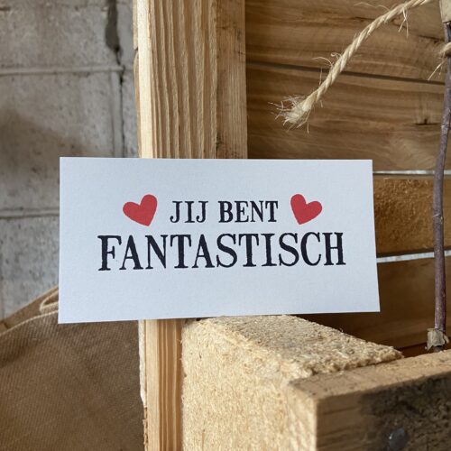 jij bent fantastisch vintage kaart kaartje geslaagd bruiloft huwelijk sturen klein leuk bedankje liefs label liefslabel juf meester vriendin bedankje zomaar pensioen zwanger