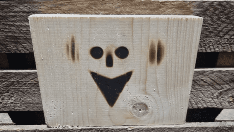 WhatsApp Image 2026-01-30 at 16.53.34