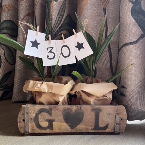 cadeau cadeaupakket verjaardag 30 jaar groen duurzaam liefs liefslabel slinger leeftijd steenmal feest