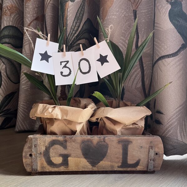 cadeau cadeaupakket verjaardag 30 jaar groen duurzaam liefs liefslabel slinger leeftijd steenmal feest cadeau cadeaupakket verjaardag 30 jaar groen duurzaam liefs liefslabel slinger leeftijd steenmal feest