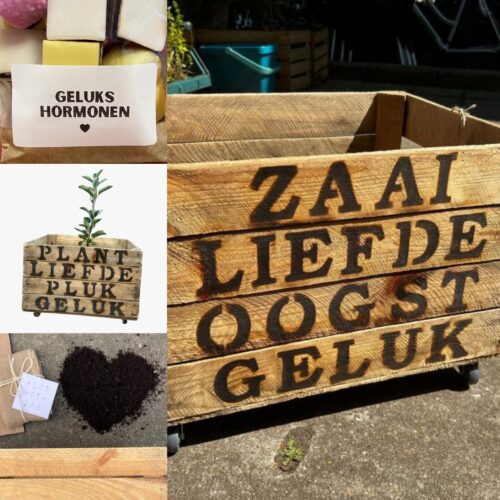 gelukstuintje zaai liefde oogst geluk houten kist tuintje liefslabel origineel cadeau pensioen bruiloft trouwdag verjaardag cadeautip leuk