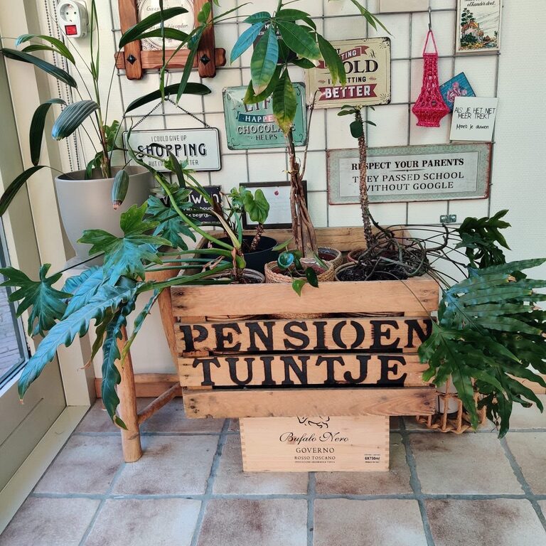 pensioentuintje cadeau pensioen liefs liefslabel cadeautip afscheid idee groen duurzaam leuk