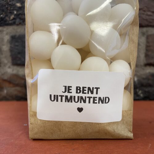 je bent uitmuntend cadeau slagen school juf meester docent klaar geslaagd traktatie feest bedankje