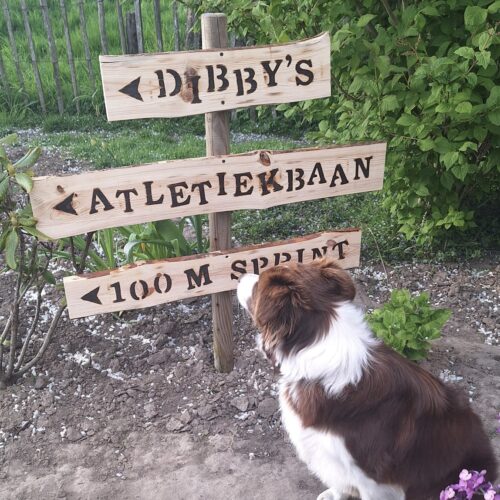 bewegwijzering dieren hond cadeau dierendag dibby's atletiekbaan liefslabel wegwijzer cadeau cadeautip puppy