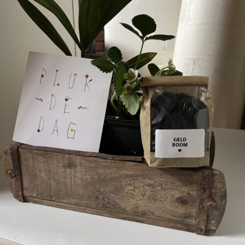 geldboom duurzaam cadeau groen cadeaupakket grappig verjaardag bruiloft afscheid pensioen origineel persoonlijk leuk cadeau cadeautip liefslabel