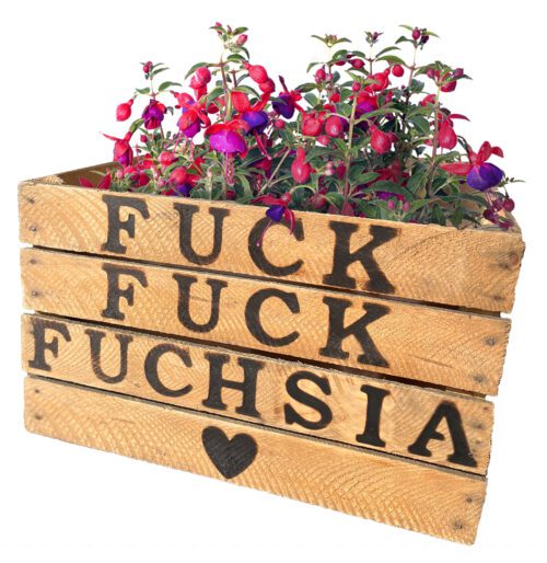 LL Fuck Fuck Fucksia Tuintje origineel cadeau duurzaam groen grappig pensioen verjaardag moederdag leuk cadeautip