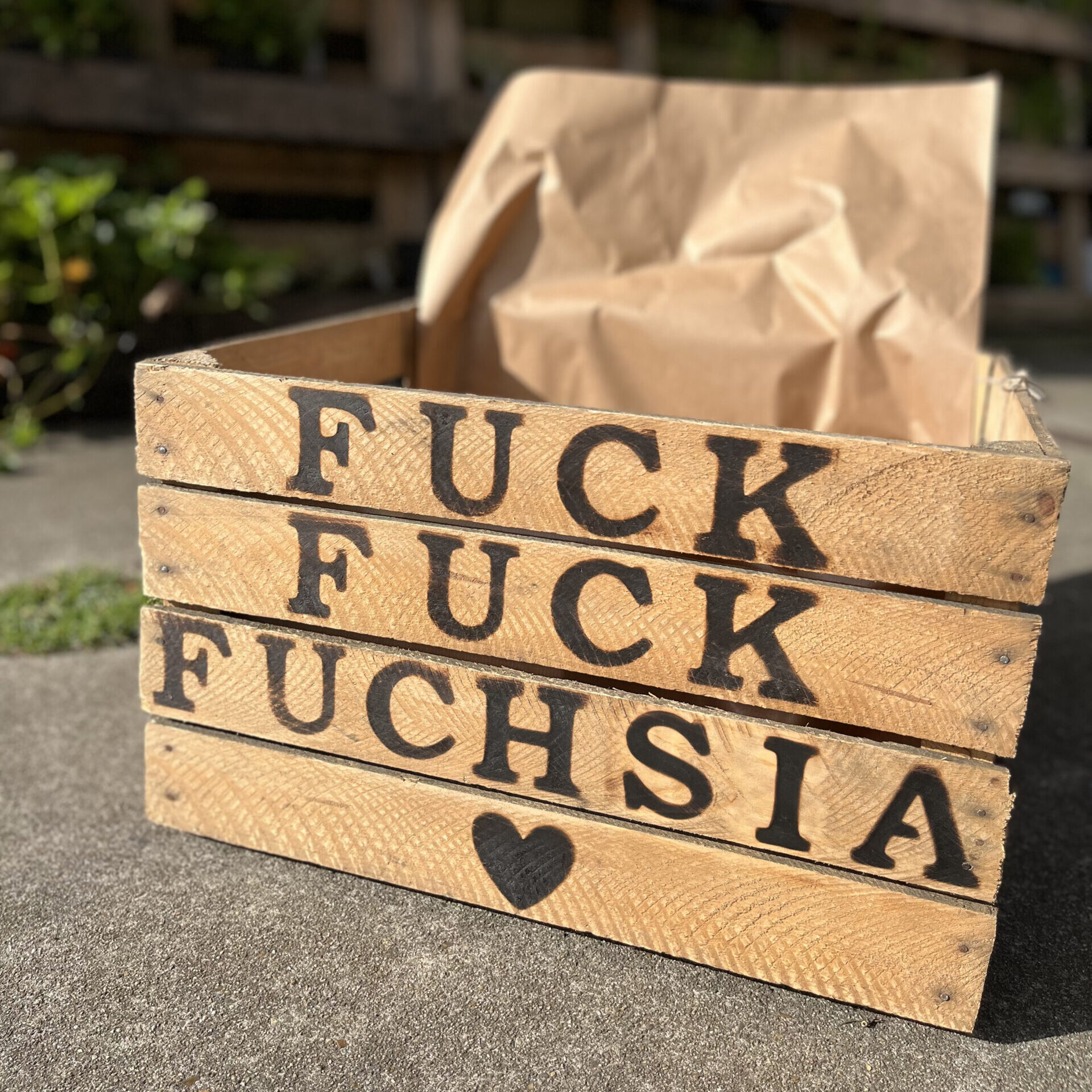 FUCK FUCK FUCHSIA TUINTJE ➸ Cadeau / Cadeaupakket - Afbeelding 2