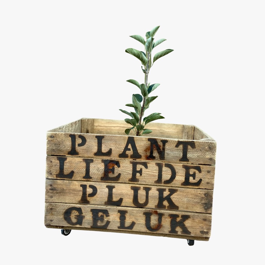 GELUKSTUINTJE ➸ Groen & Duurzaam Cadeau / Cadeaupakket - Afbeelding 18