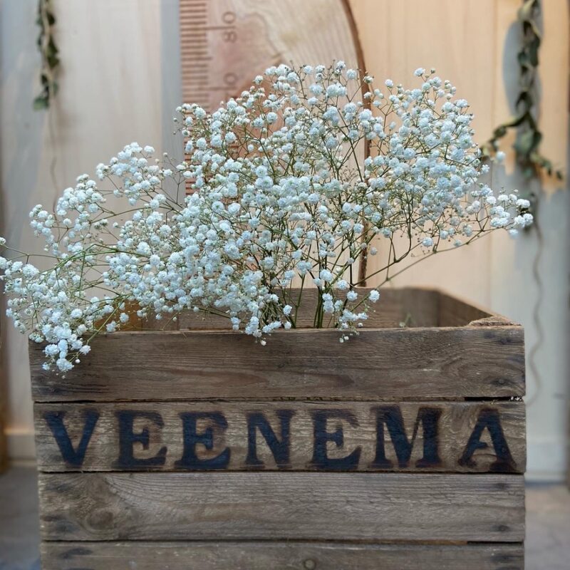 KERSTFILM KIST Luxe kerstpakket voor een lekker rustige kerst - Afbeelding 32